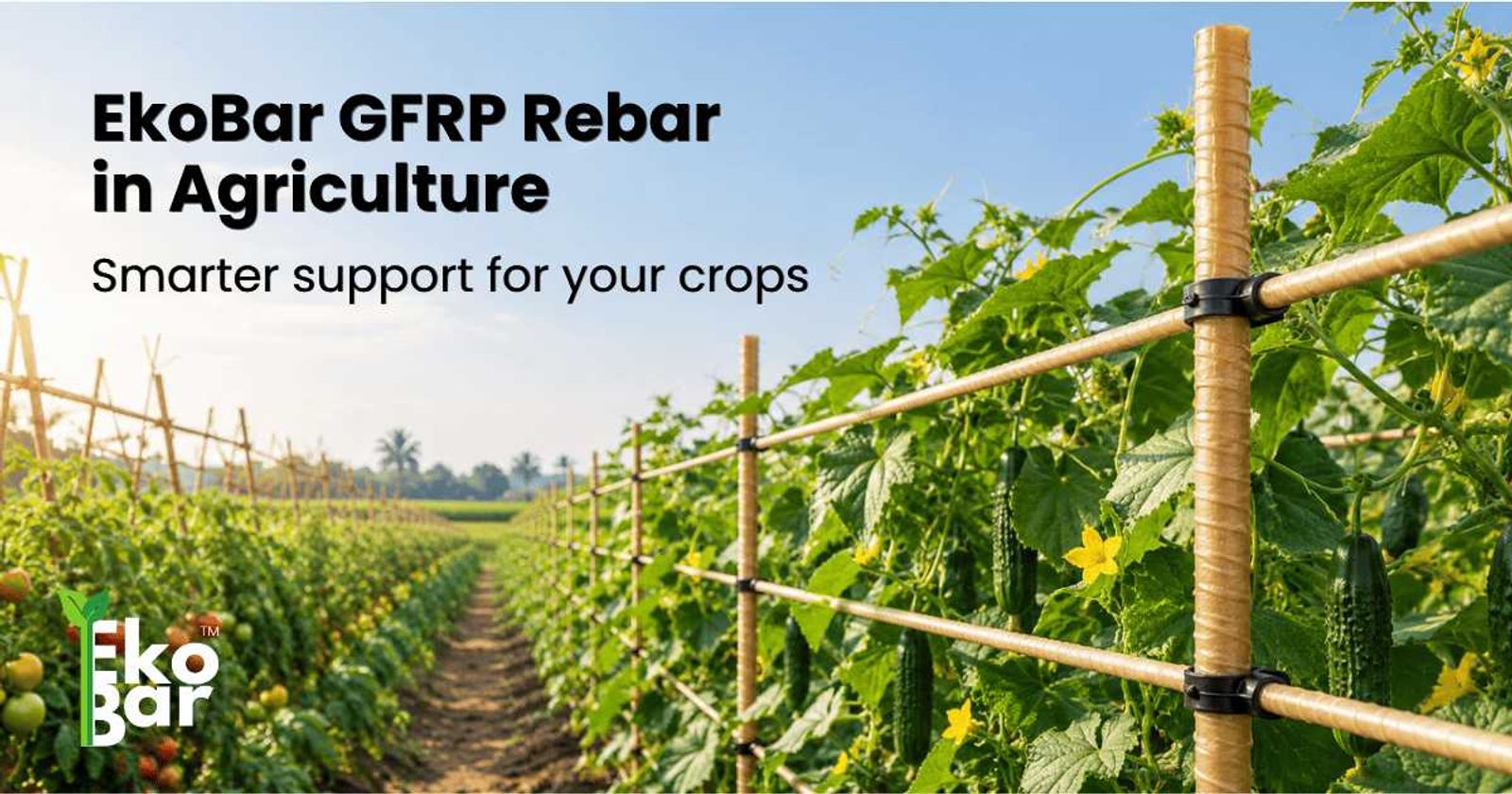 GFRP Rebar in Agriculture: Where and Why to Use It