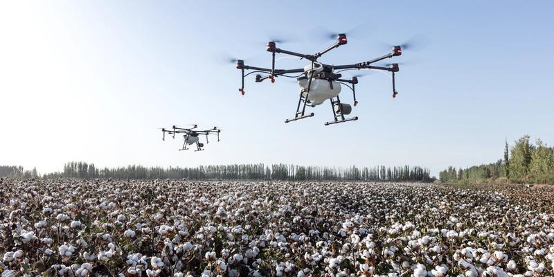 Agricoltura, l’innovazione tecnologica che ridefinisce rendimenti e impatto ambientale