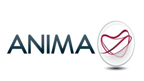 Anima Holding