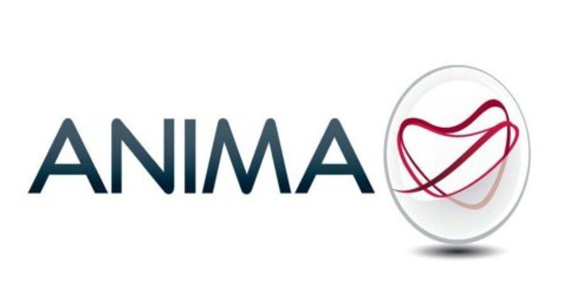 Anima Holding