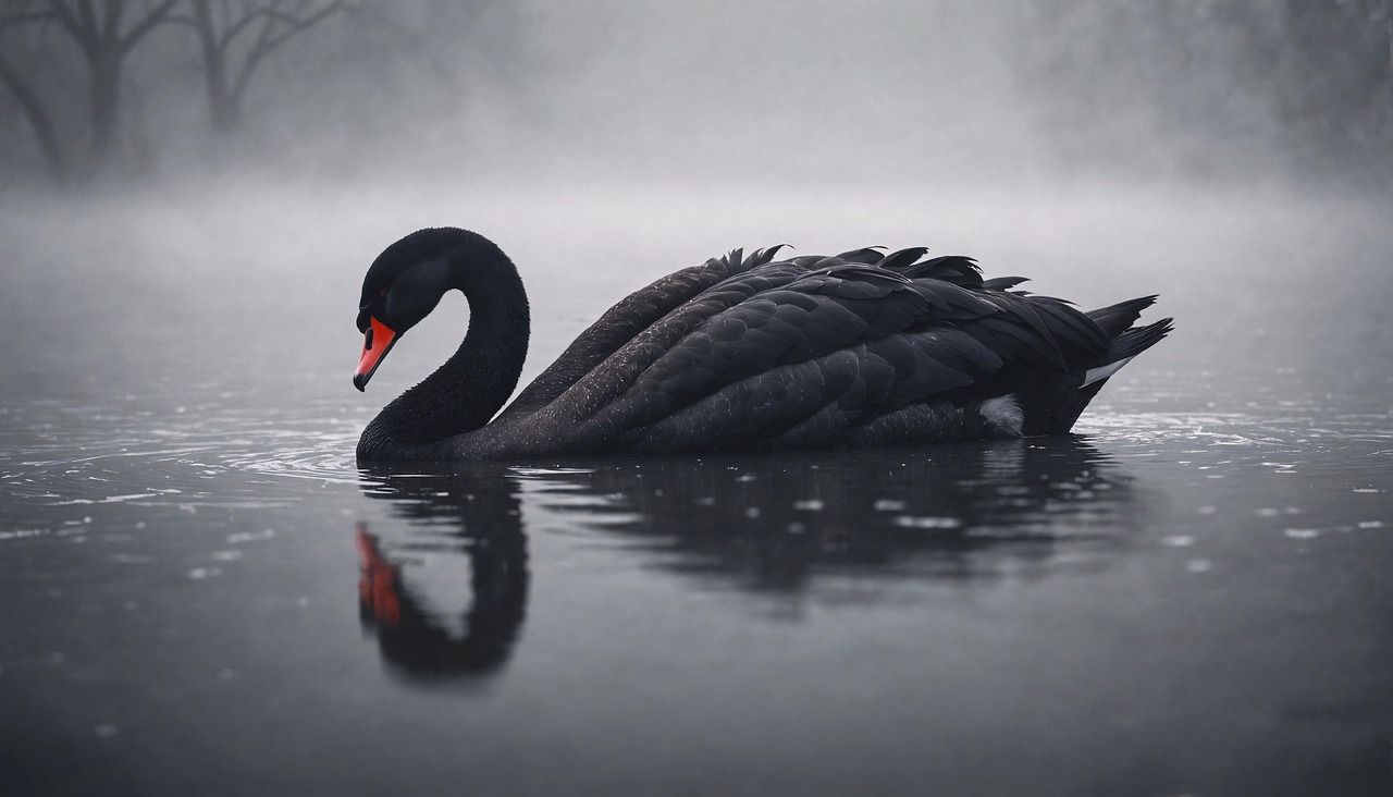 Previsioni oltraggiose per il 2026, i "cigni neri" di BG SAXO