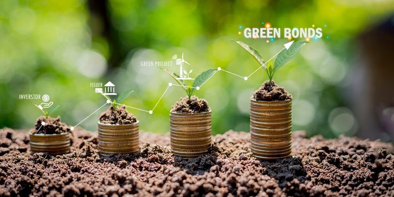 BTP Green: cosa sono e come funzionano le obbligazioni verdi