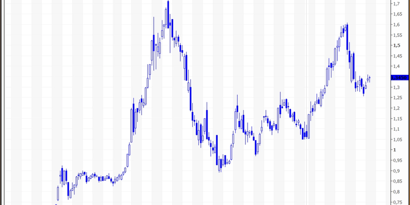 L'andamento in borsa