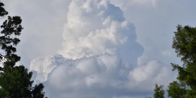 El Niño minaccia ondate inflazionistiche guidate dalle materie prime