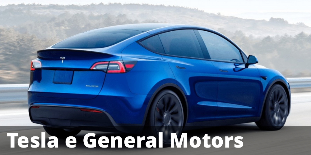 Possibile Rendimento annuo del 9% con il certificate Reverse su Tesla e General Motors