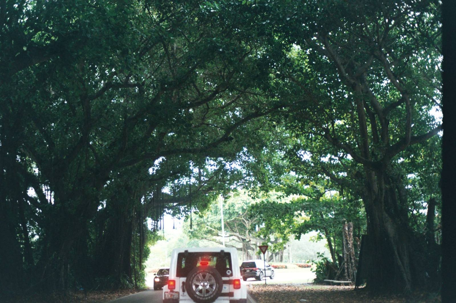 Film — foto 18