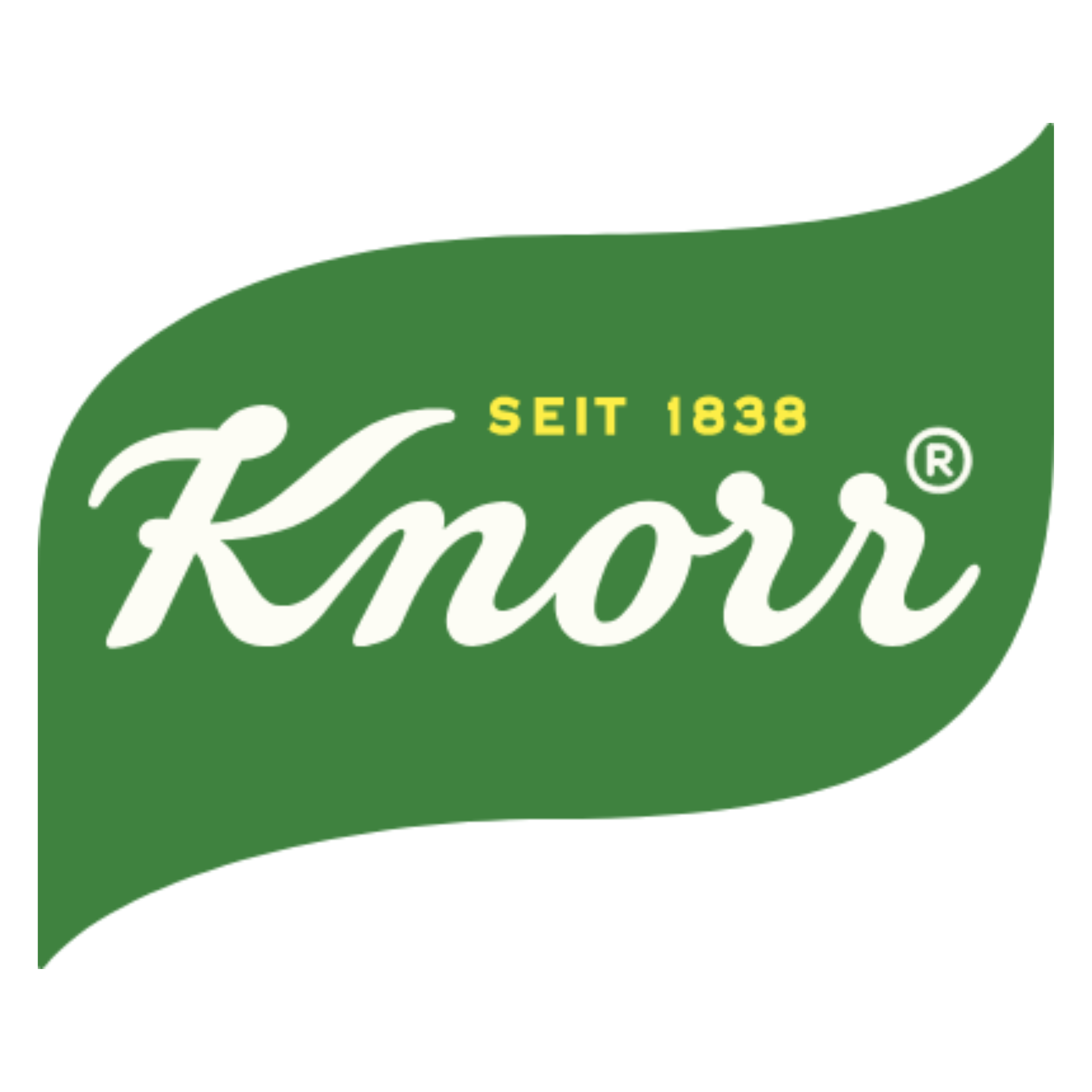 Knorr