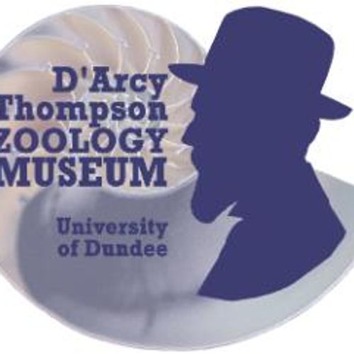 The D'Arcy Thompson Zoology Museum at University of Dundee Museum Collections Logo