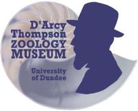 The D'Arcy Thompson Zoology Museum at University of Dundee Museum Collections