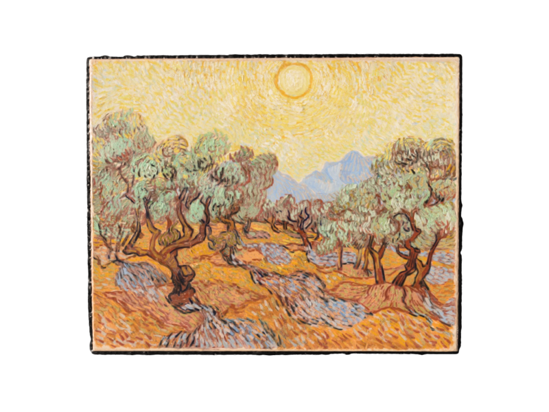Vincent van Gogh's Olive Trees
