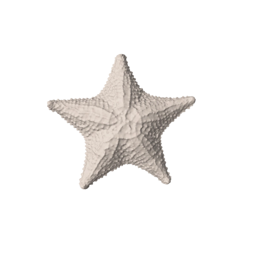 Asteroid Starfish