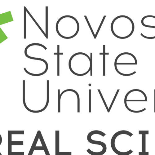 Novosibirsk State University Logo