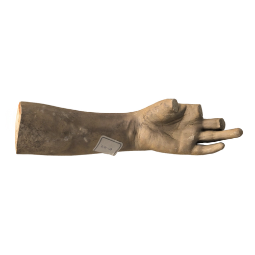 Greek Slave Left Forearm and Hand