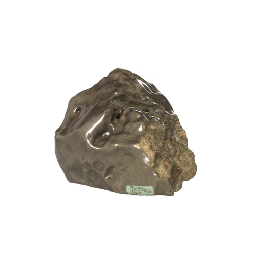 Pultusk Meteorite