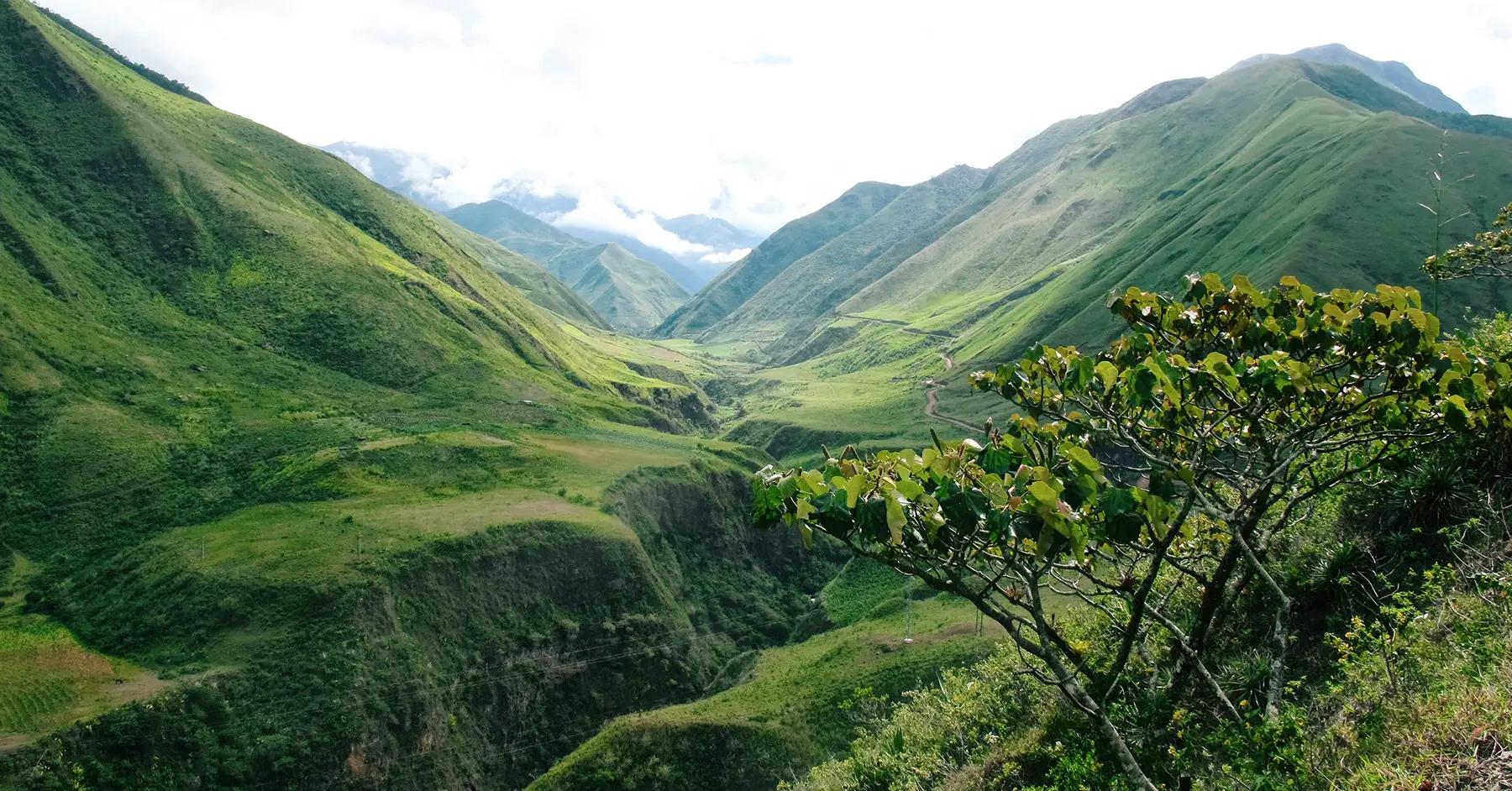 Ecuador