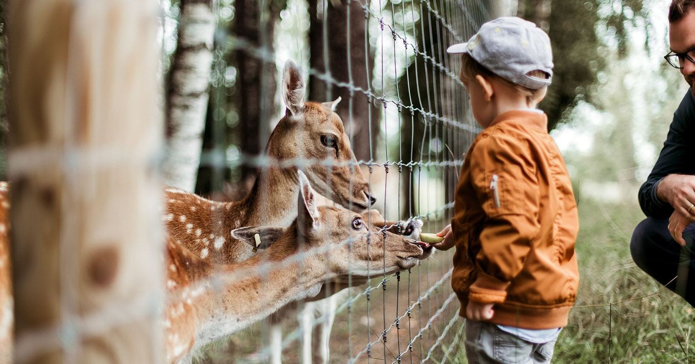 35+ Things To Do In Nashville With Kids