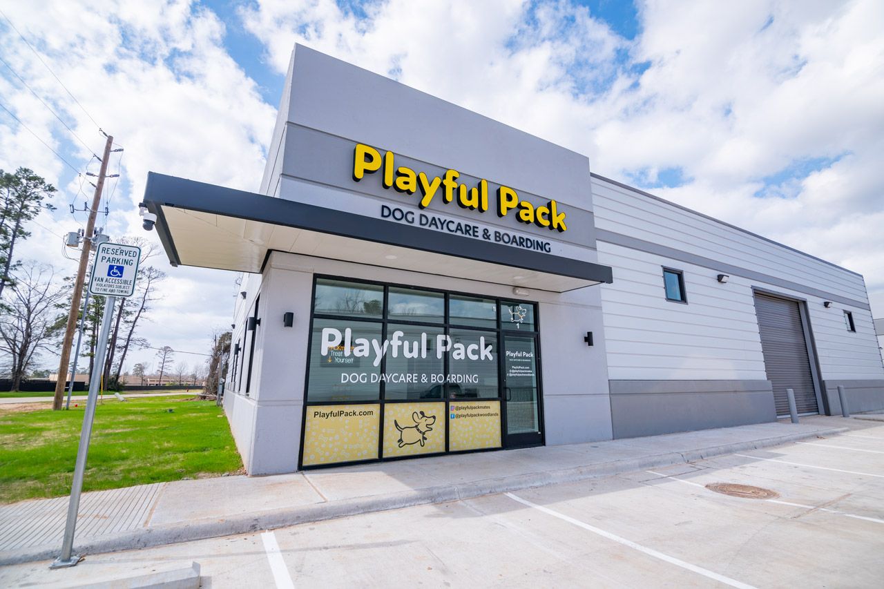 Dog Daycare and Boarding in The Woodlands, TX - Playful Pack
