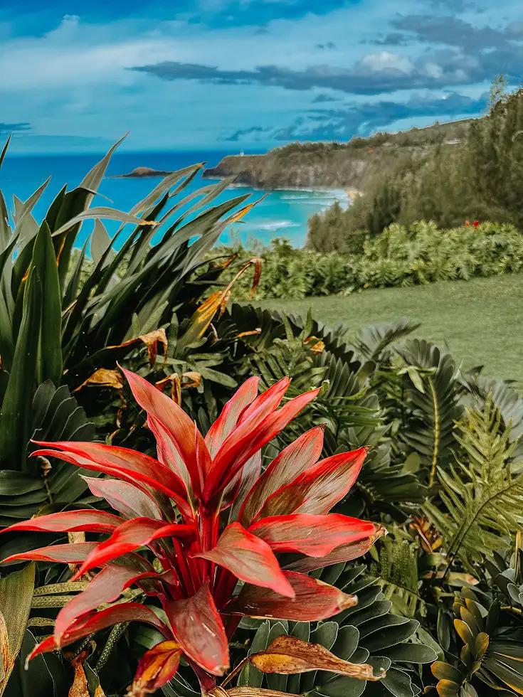 Hawaï
