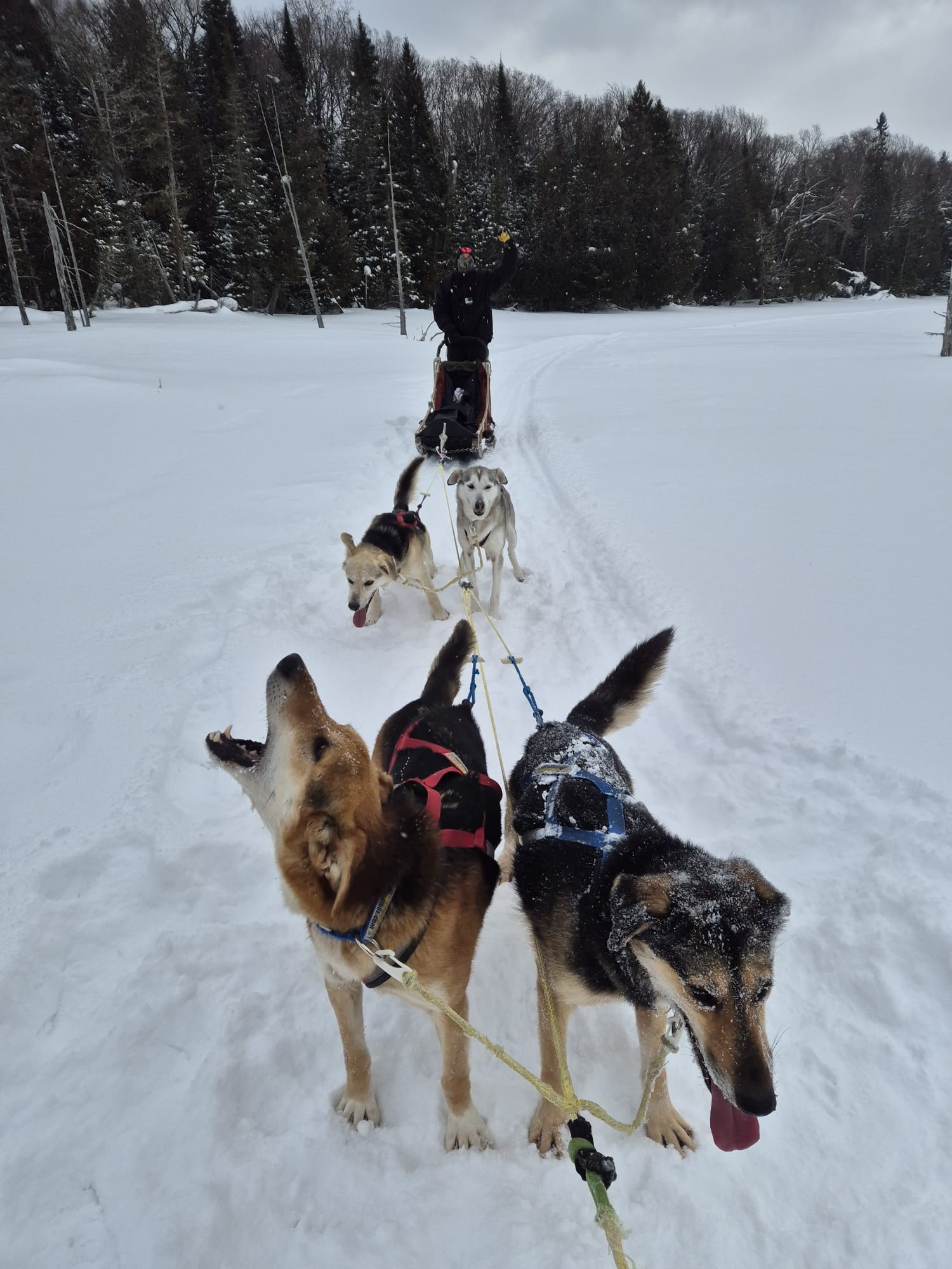Ski-Doo préparé pour une longue étape de motoneige au Canada