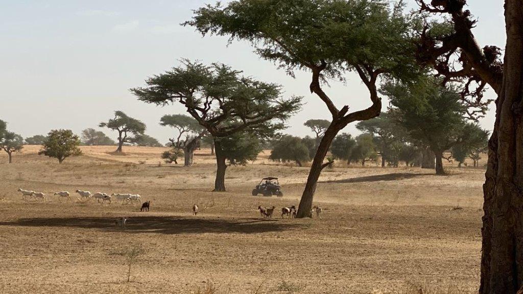 Bivouac sous les étoiles pendant un voyage au Sénégal