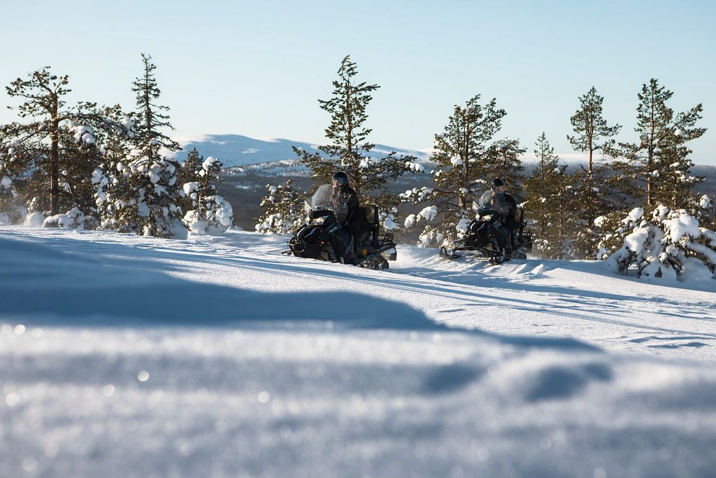 Étendue enneigée et lumière arctique dans la région de Pyhä-Luosto