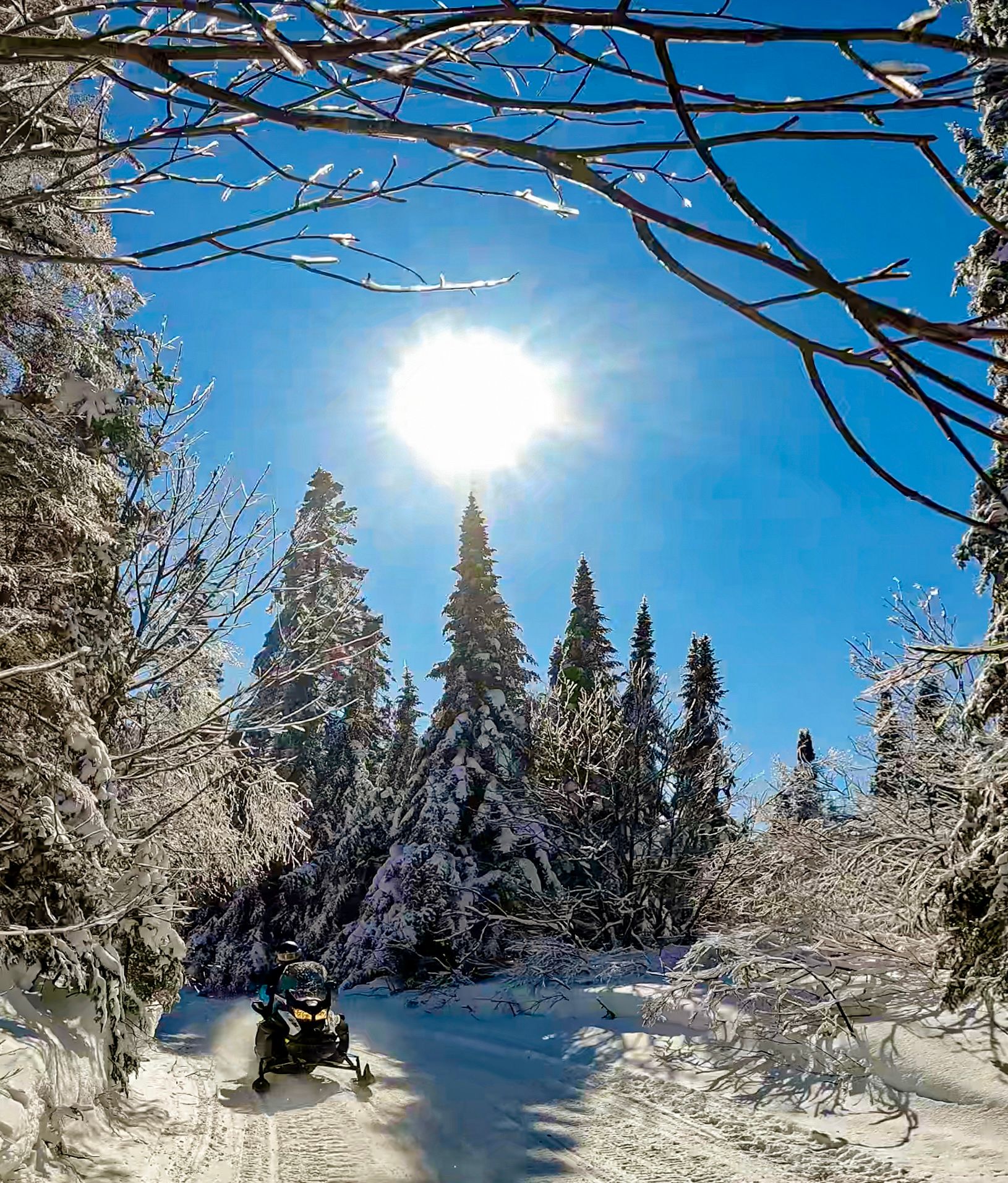 Raid en motoneige dans les paysages enneigés du Québec