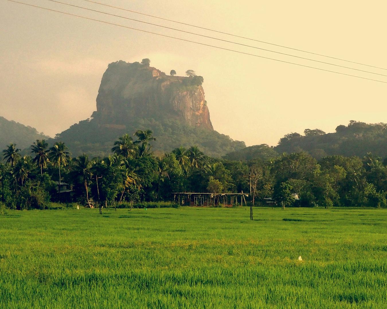 Sri Lanka : entre plages dorées et héritage spirituel