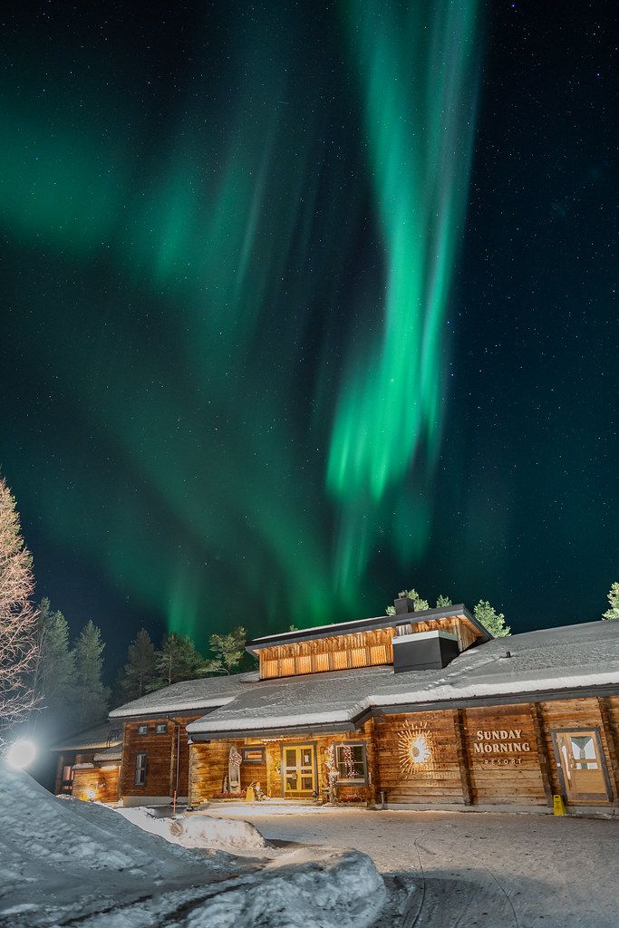 Randonnée en raquettes dans une forêt enneigée de Pyhä