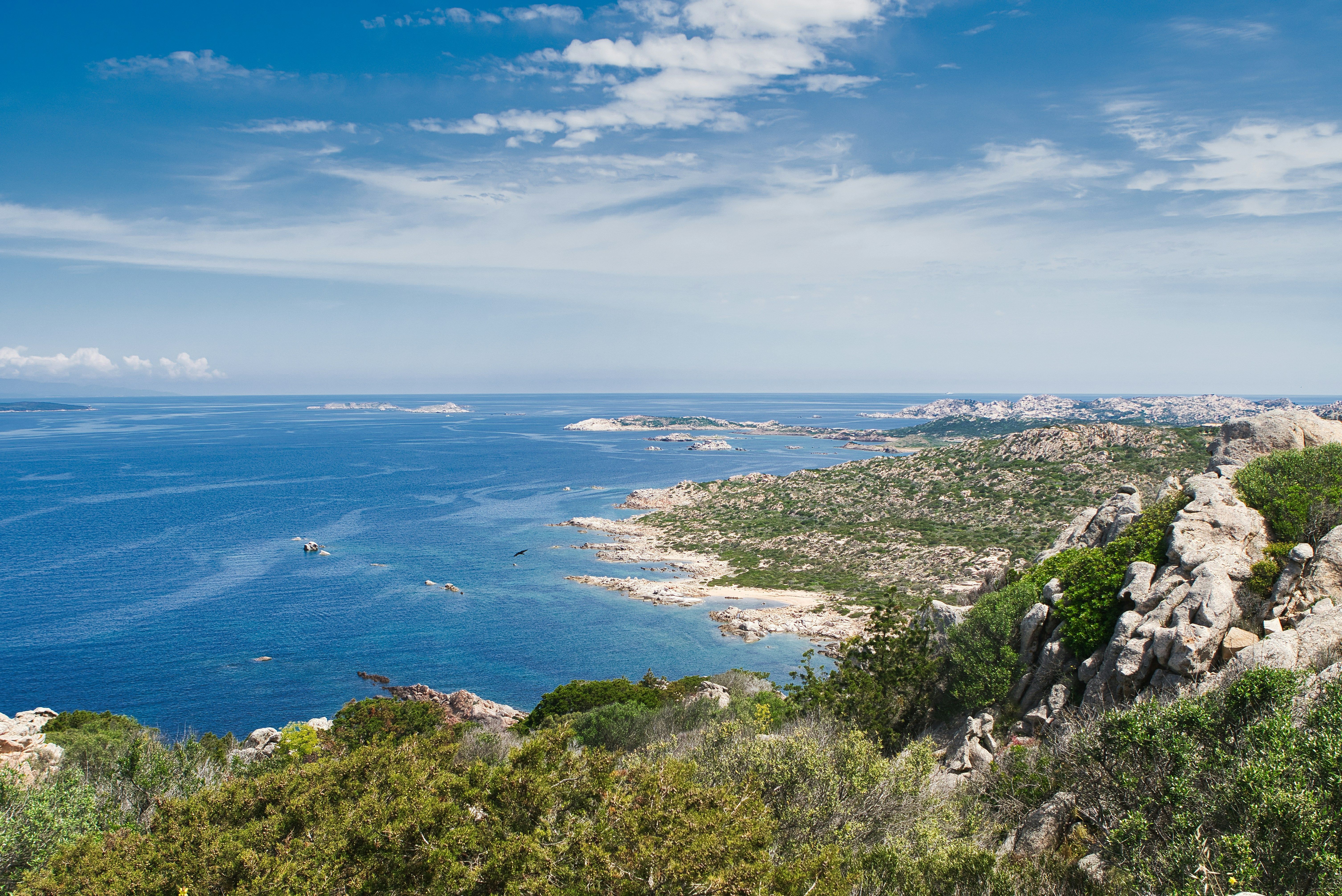 Piste dans le maquis corse