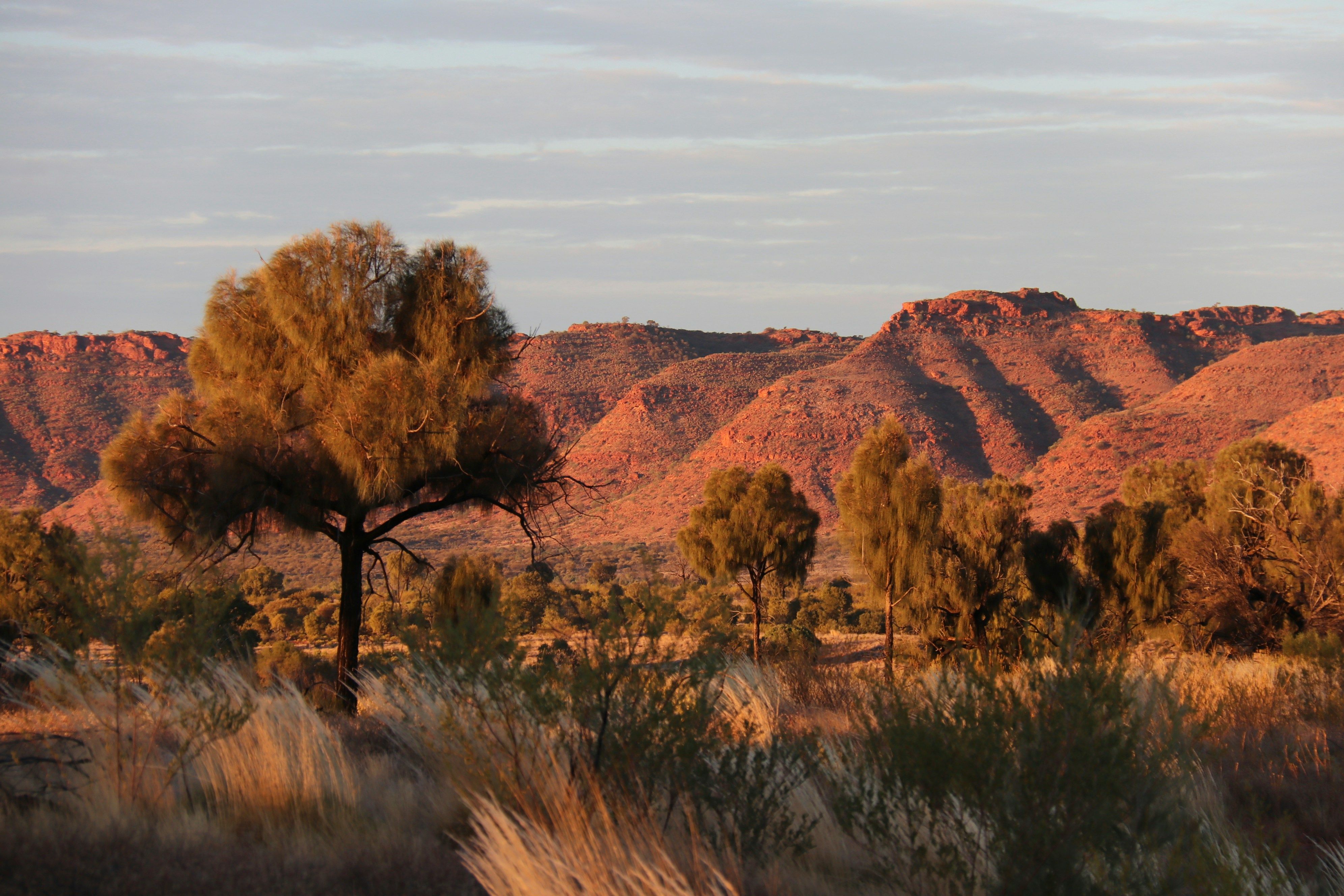 Groupe en SSV dans les paysages sauvages du Queensland
