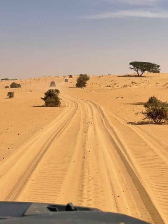 Reliefs rocheux et sable de la vallée Blanche en Mauritanie