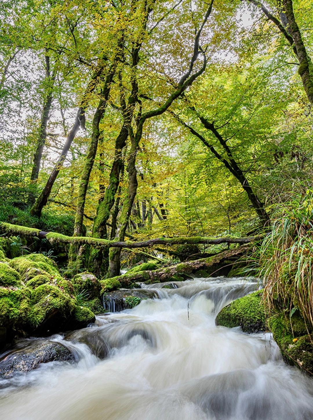 Le Morvan : le petit Canada français en quad et SSV