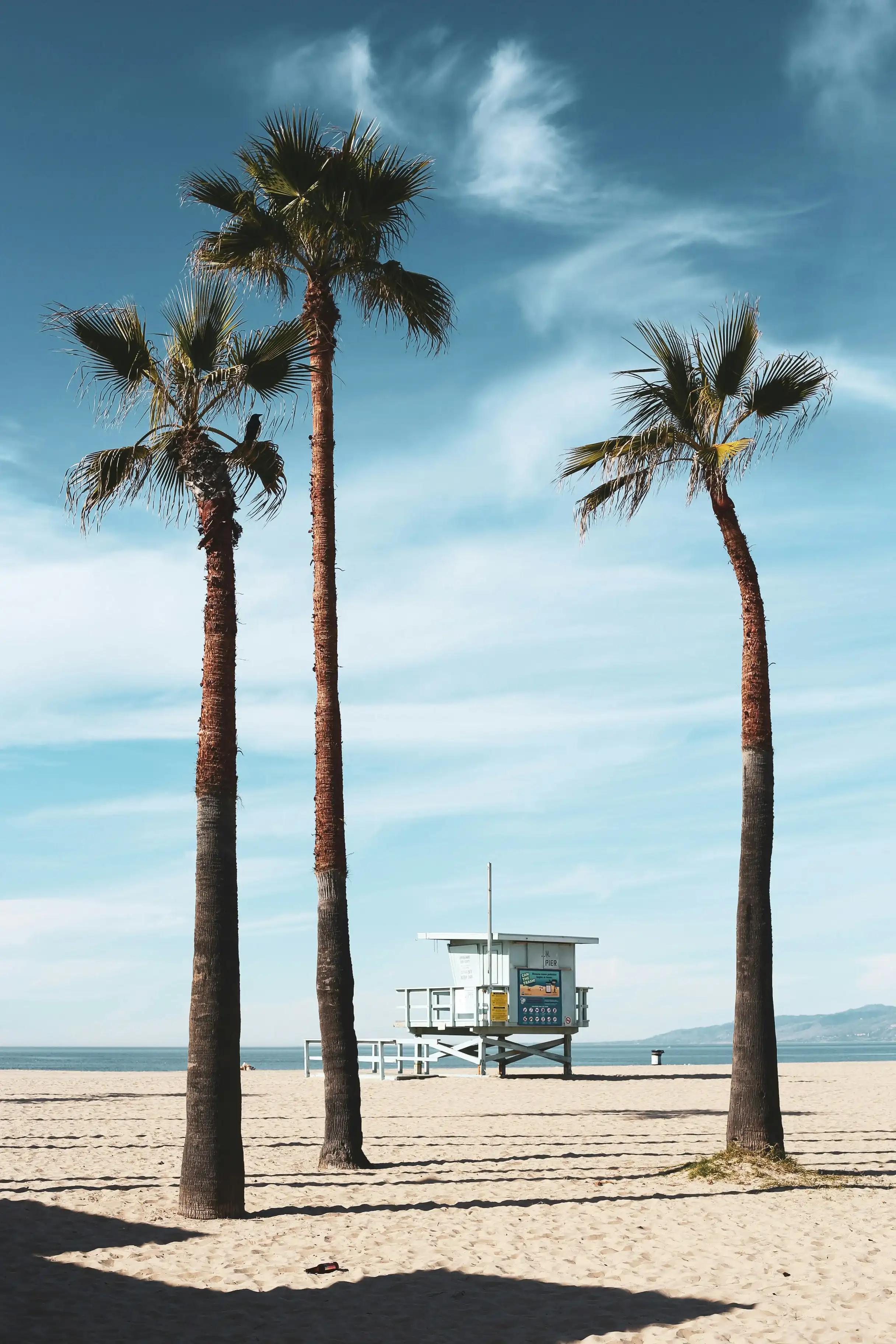 La Californie en Indian, photo 4