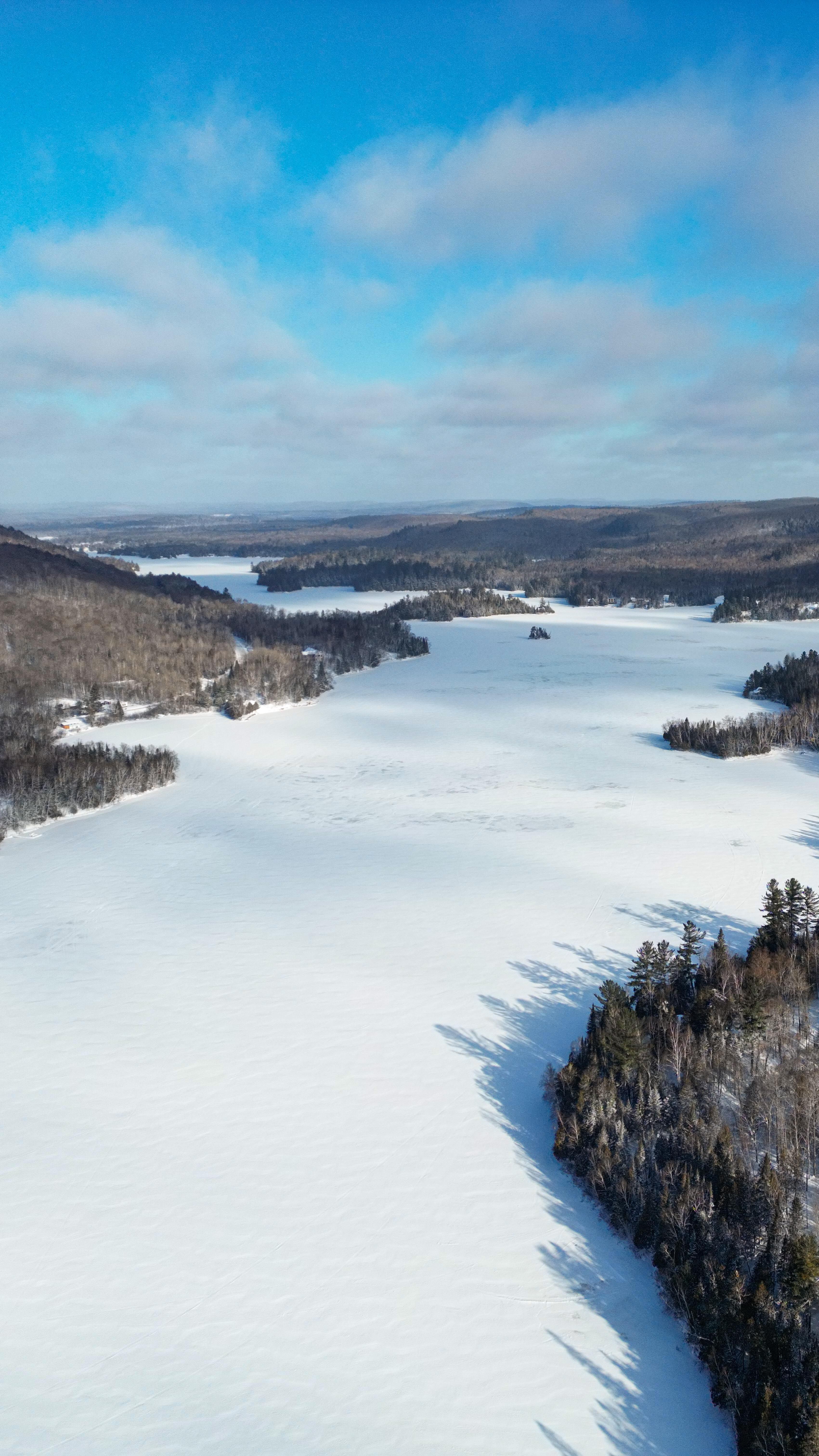 Motoneige sur une piste balisée au cœur de la forêt boréale québécoise