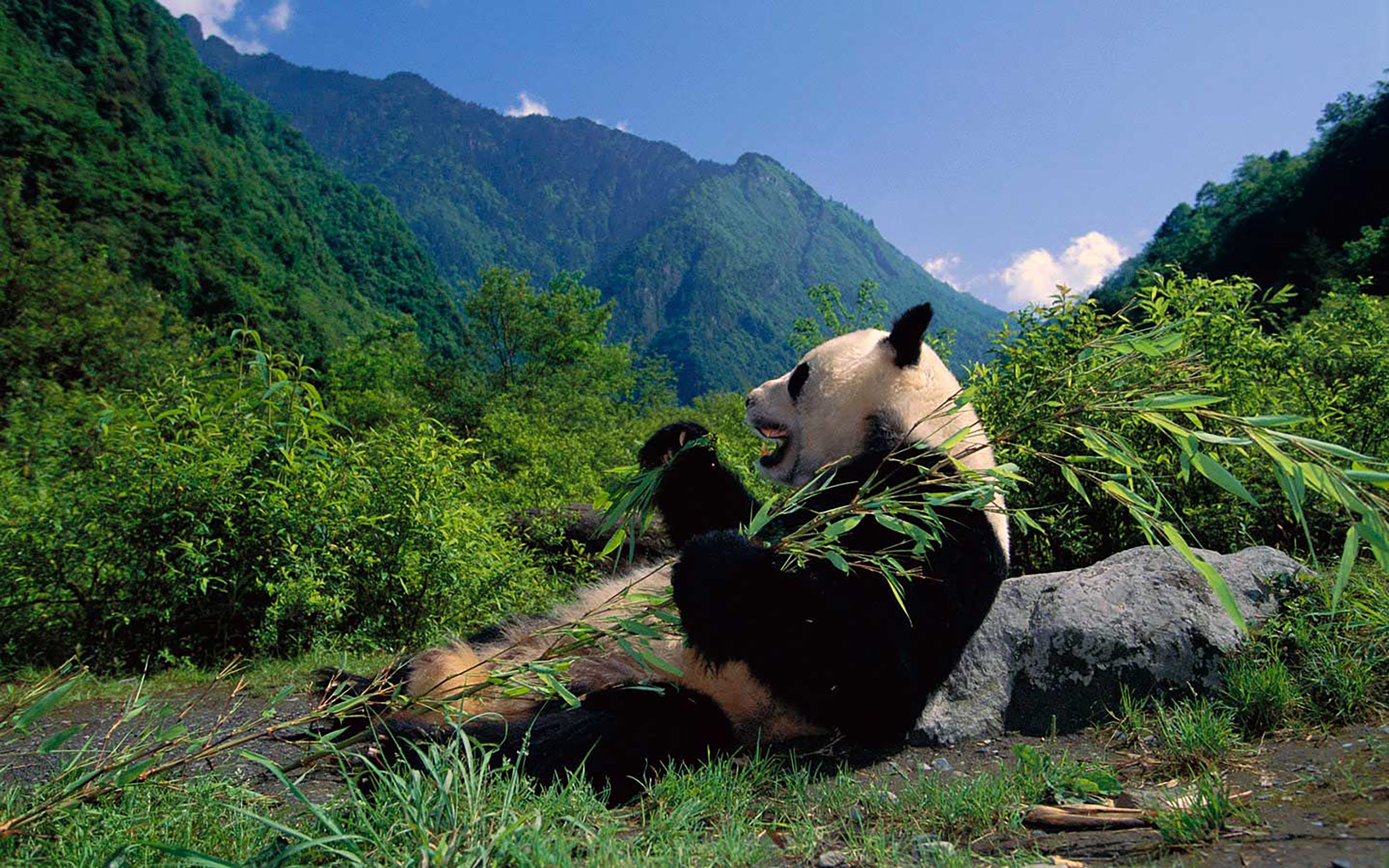 Chine – Grandes aventures en Sichuan, photo 6