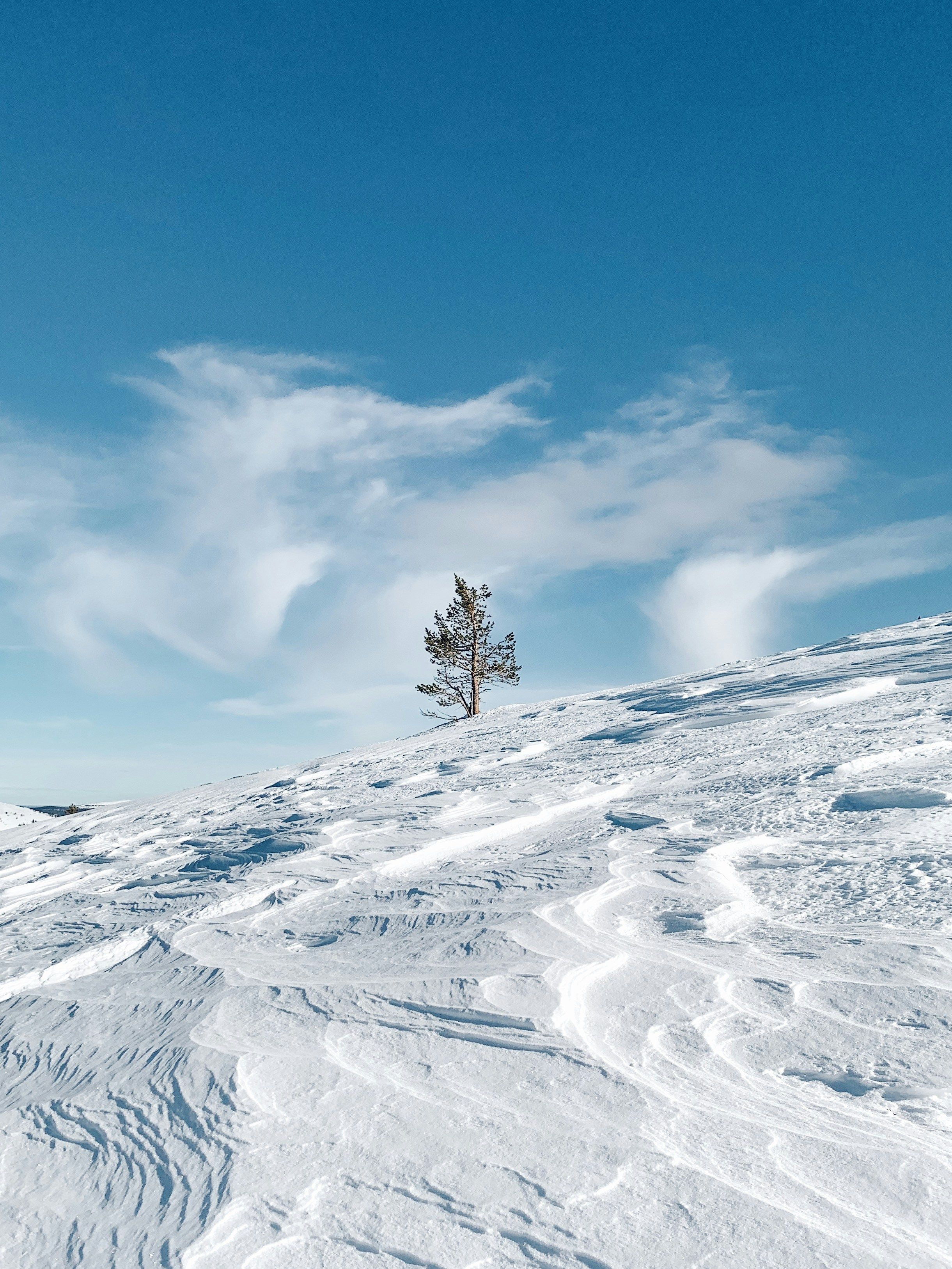 L’Odyssée Blanche, photo 6