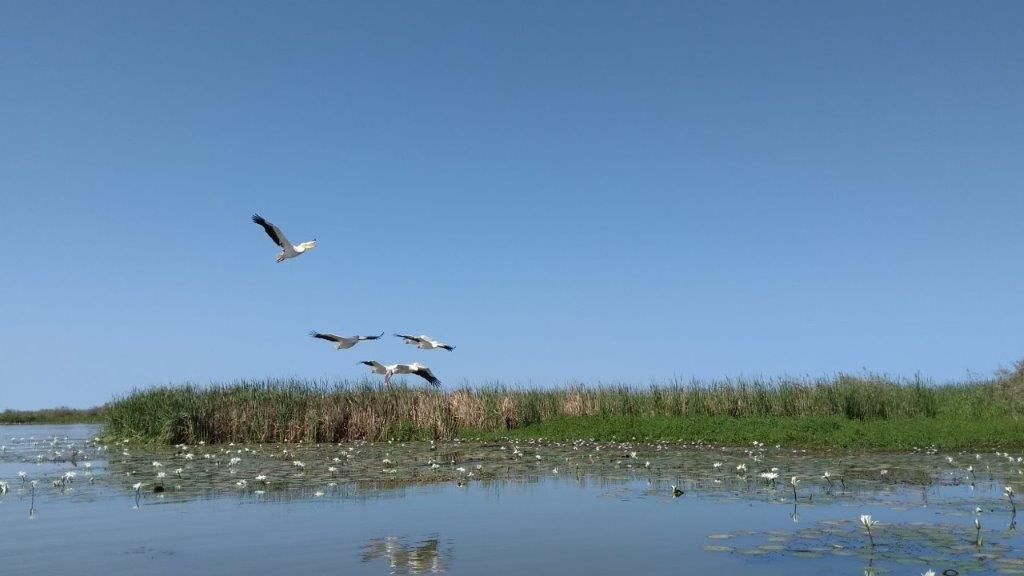 Sénégal : Les pistes du Teranga, photo 7