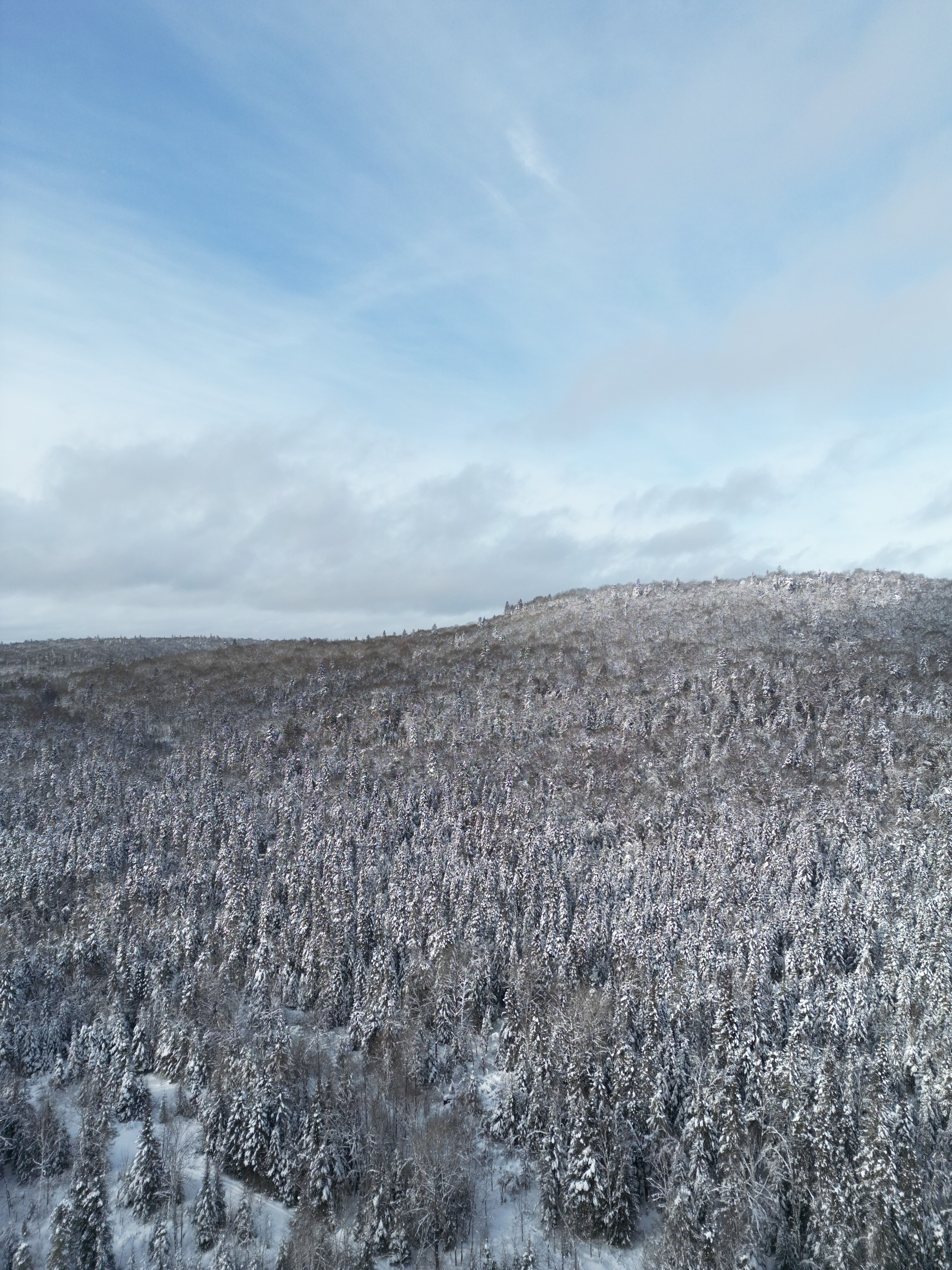 L’Appel du Grand Nord – Motoneige au Saguenay & Charlevoix, photo 6