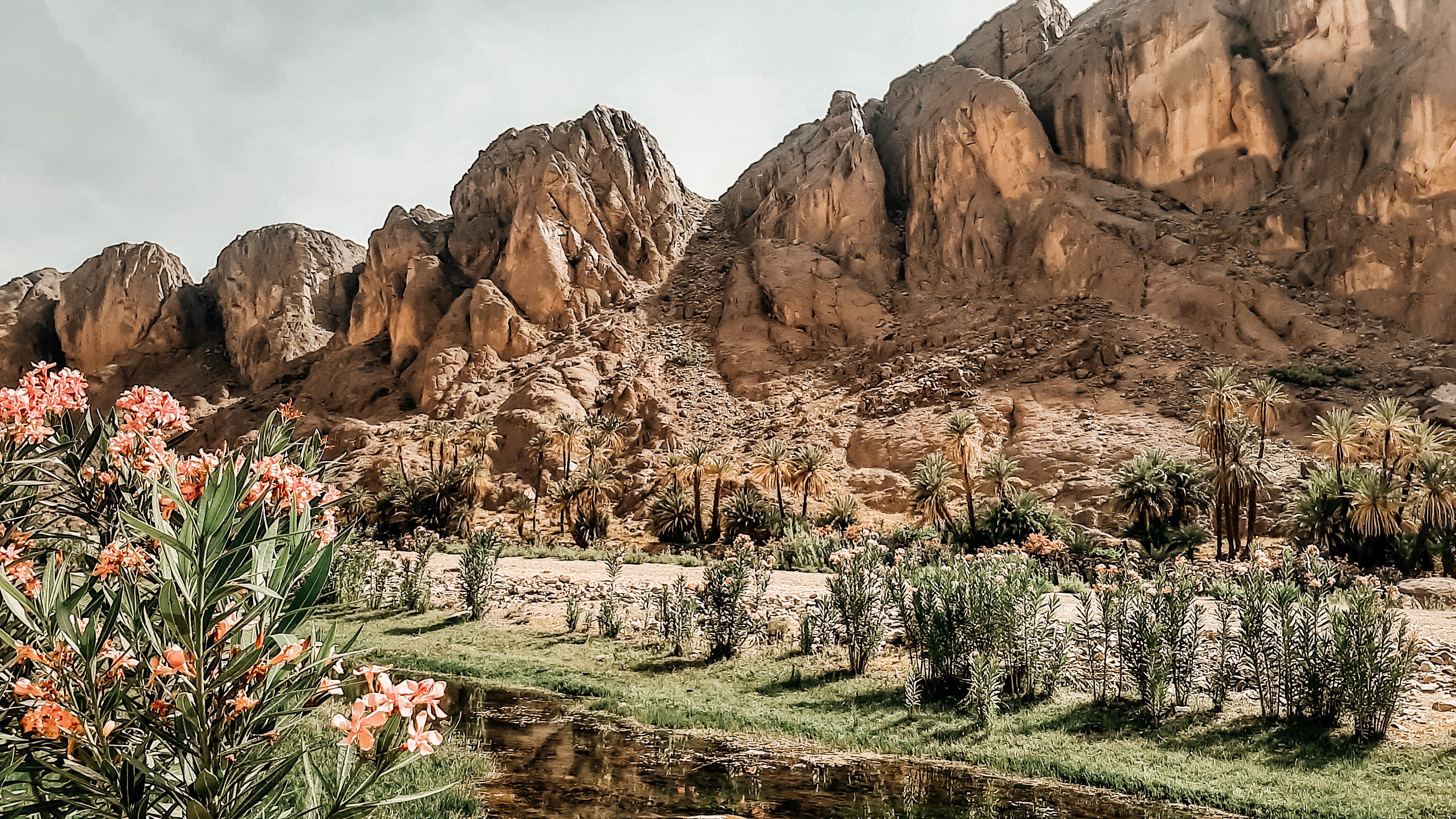 Raid en SSV entre les montagnes de l'Atlas et le Sahara marocain