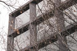 Missing alternative text