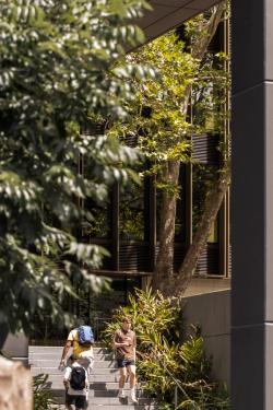 Missing alternative text