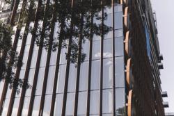 Missing alternative text