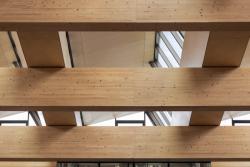 Missing alternative text