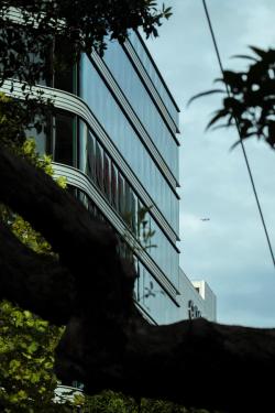 Missing alternative text