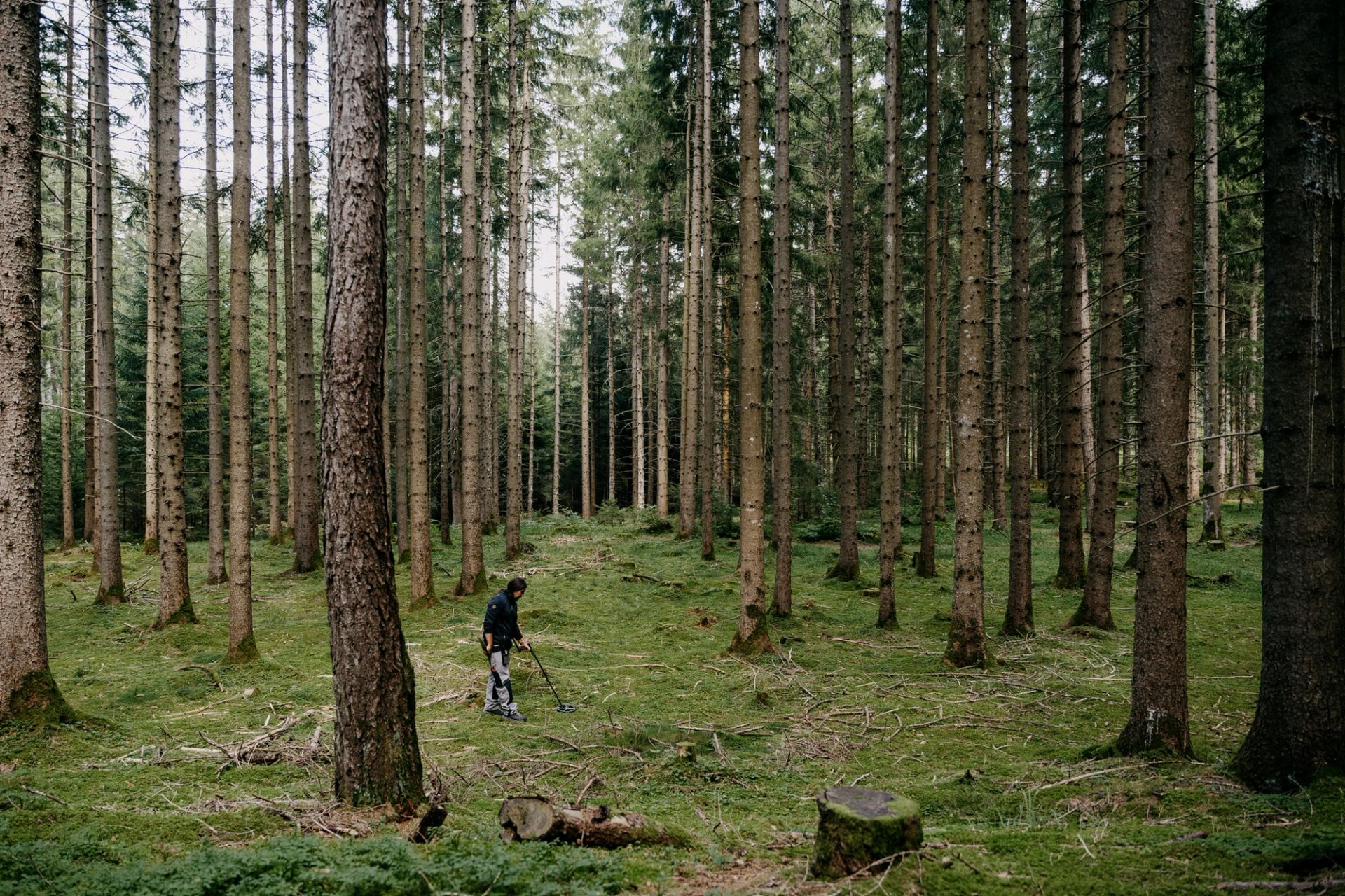 Christoph Hussl - Wald Magazin -  Martin Schachenhofer Fotografie