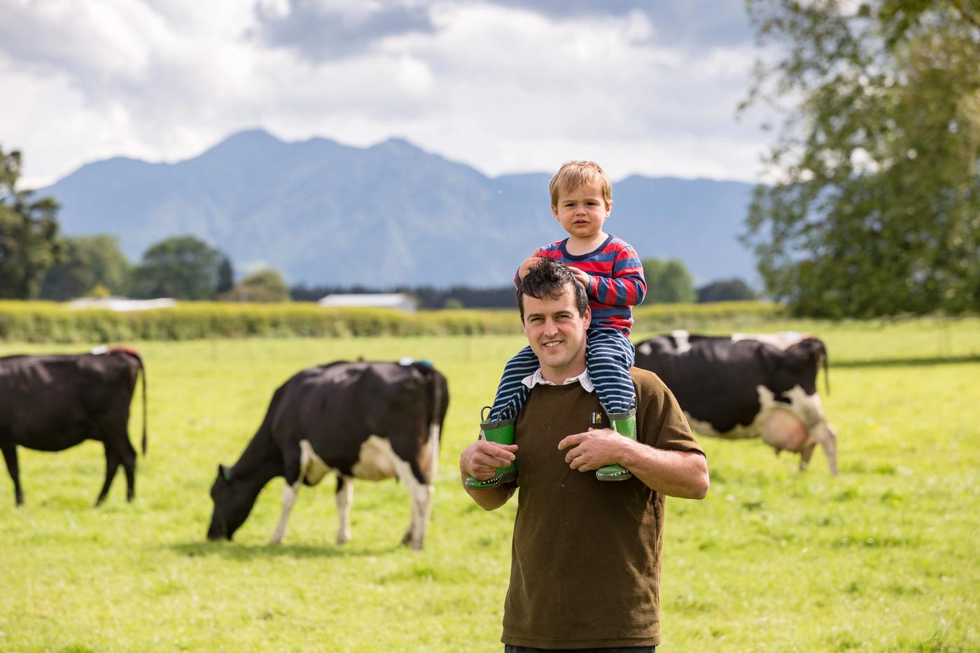 Farmer with child on his shoulders cows in background