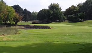 BEST GOLF COURSES IN PARIS visual data 4