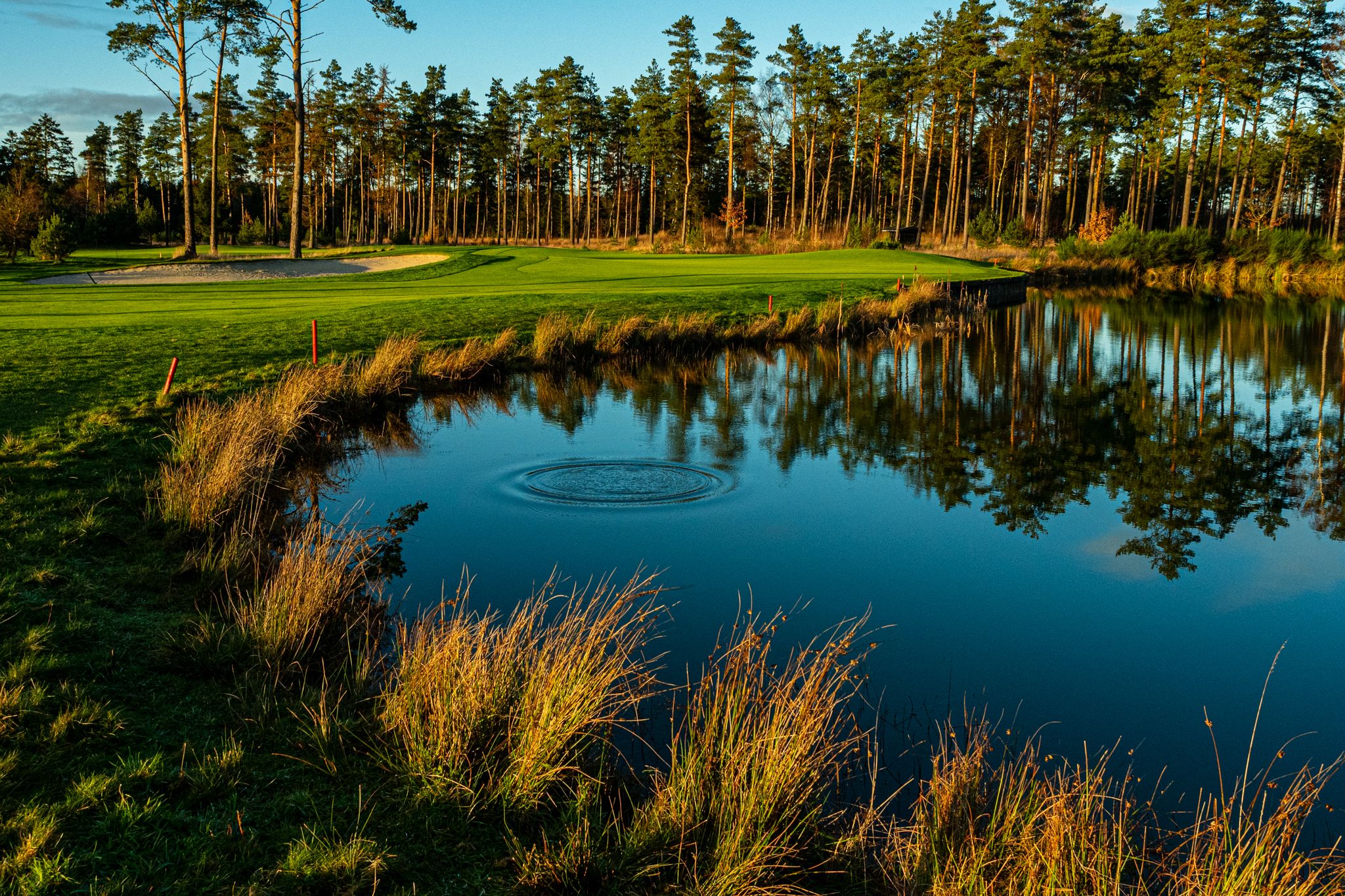 Kejser Grusom gnier Silkeborg Ry Golfklub (Syd & Vest) - Denmark | Top 100 Golf Courses | Top  100 Golf Courses