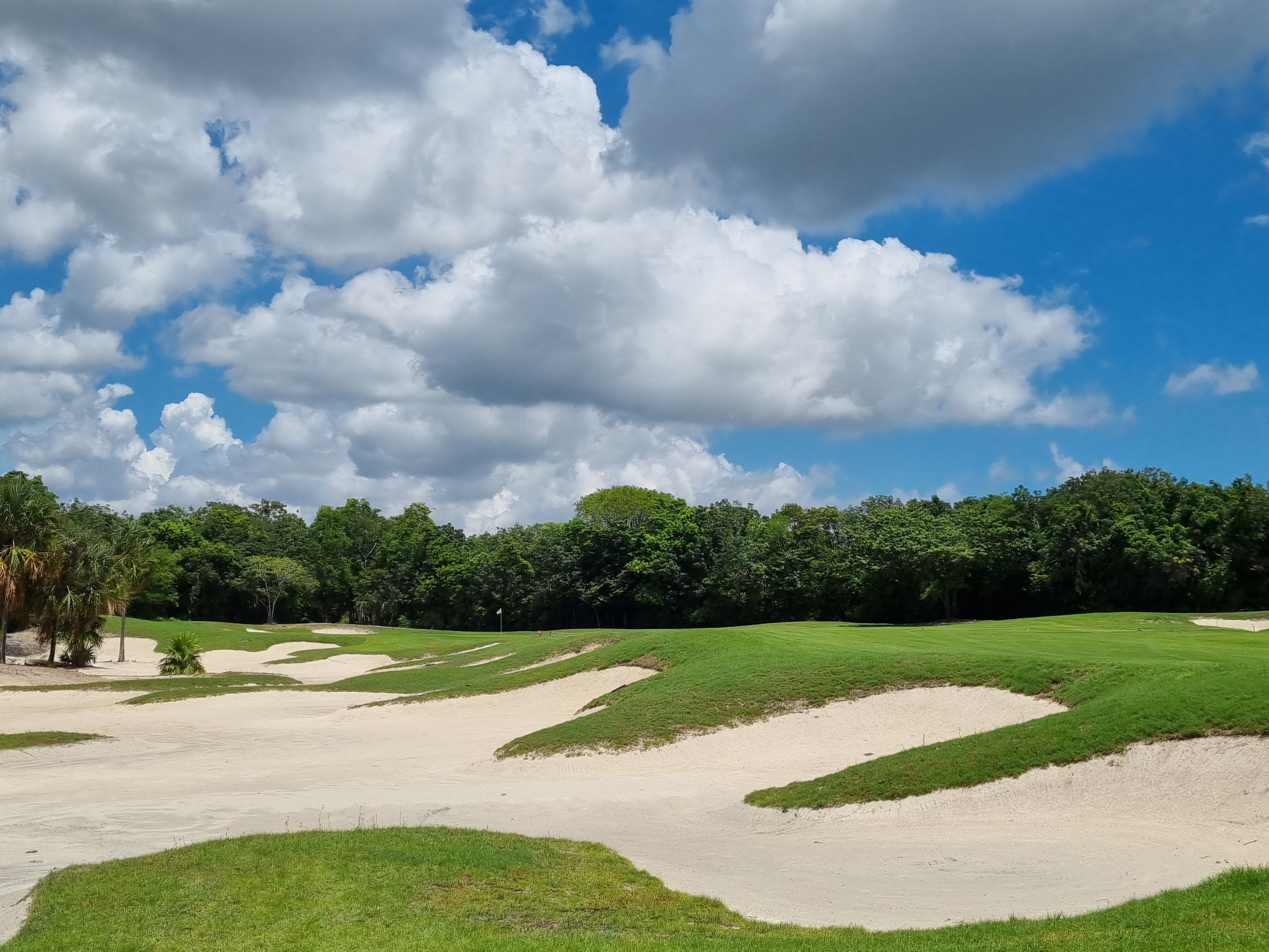 19+ El Tinto Golf Course Cancun