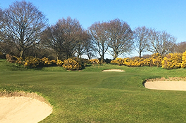 Orsett Gc Top 100 Golf Courses